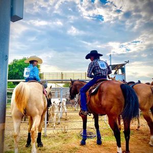 Meet your Posher, Jerry